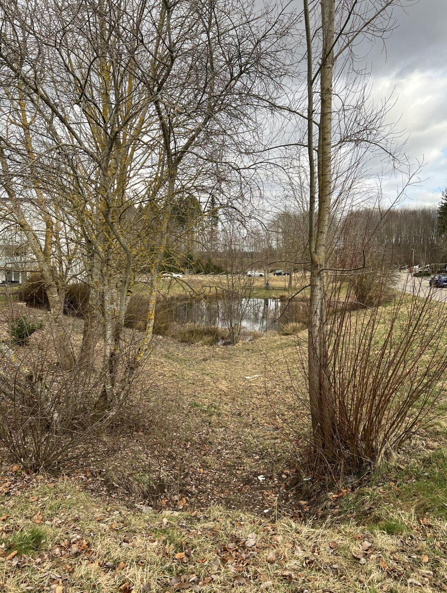 Apartment My N 35 Villingen-Schwenningen